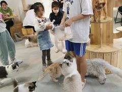 -Heymao猫咖.咖啡厅(东门店)