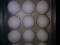 -北京稻香村(第三店)