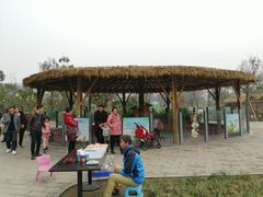 -黄龙溪欢乐田园
