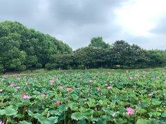 -祥源·阜阳生态乐园