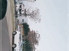 -野狸岛