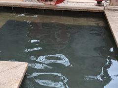 -悦隆庄温泉度假酒店