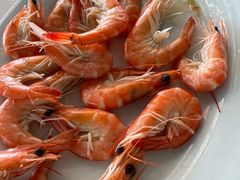 -巽寮湾海鲜批发码头