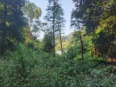 -佛山市三水区大南山森林公园
