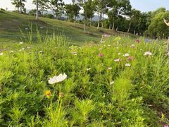 -钟山体育运动公园