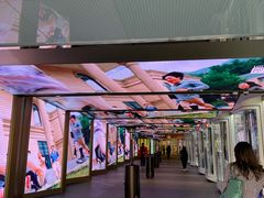 -乐天免税店(明洞店)