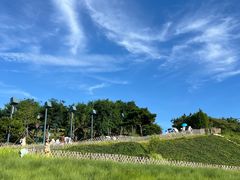 -小麦岛公园