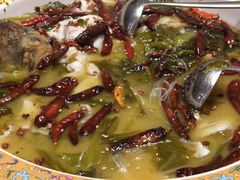 -老伙记海鲜码头(北滘店)