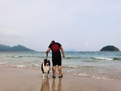 -西涌国际滨海旅游区