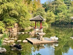 -水绘园