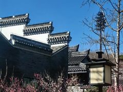 -句容茅山景区