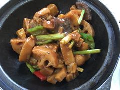 -广宁炭炉鸡煲·富临门饭店