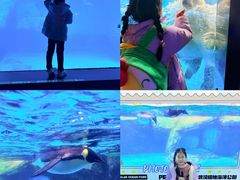 -海合安武汉极地海洋公园