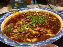 -新概念来凤鱼(璧山店)