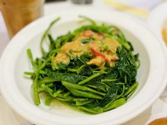 腐乳空心菜-大哥餐厅(西城花园店)