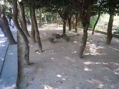 -兰剑驾校(汉阳校区)