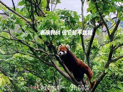 -泉州海丝野生动物世界