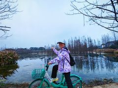 -白鹭湾湿地公园
