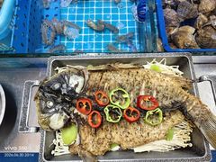 -老家黄墩小错鸡·活海鲜