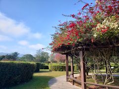 -中国科学院西双版纳热带植物园