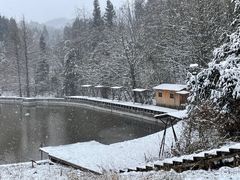 -武陵山森林公园