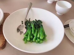 -食神鱼头佛跳墙(百子湾旗舰店)