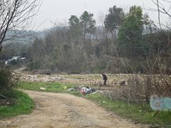 -东湖小天池真人CS彩弹野战基地