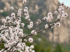 -北京凤凰岭