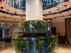 -巴陵全鱼席(湖南老字号汴河街店 )