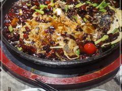 -老板恋上鱼(恒隆广场店)