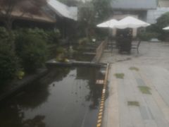 -老房子金沙元年川菜食府·花园餐厅(金沙店)