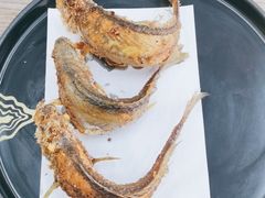 -蚝山·喷汽火山生蚝(前福路店)