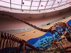 -陕西自然博物馆