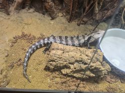 -酷嗒动物文化乐园(cutezoo西溪乐天城店)