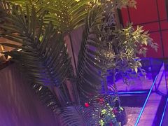 -柴火大院烤鸭民间菜