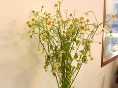 -Ten Olives甜点