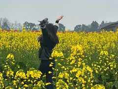 -中国天府农业博览园