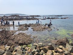 -青岛第二海水浴场