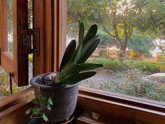 -时光花园(白鹭洲店)