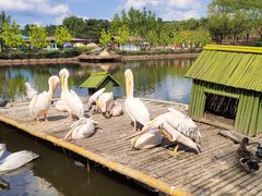 -沈阳森林动物园