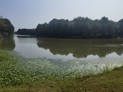 -上海海湾国家森林公园