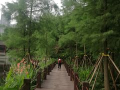 -重庆彩云湖湿地公园