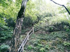景点-江郎山风景名胜区