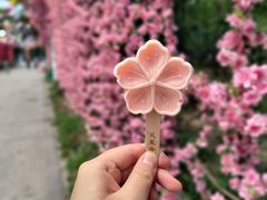 -北京凤凰岭