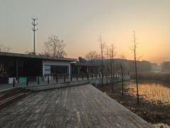 -昆山城市生态森林公园