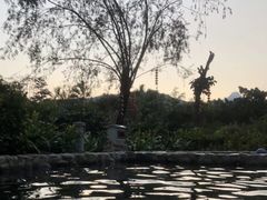 -江门古兜温泉小镇