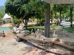 -南京金牛湖风景区