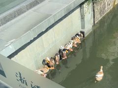-浙江省博物馆(孤山馆区)
