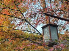 -龙井壹号·茶缘山景宴(龙井村店)