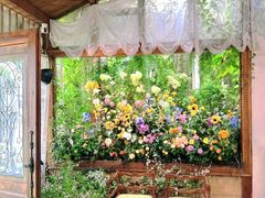 -Lamant Manor已闻花名關於藍